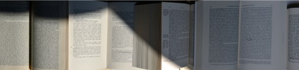 009_atto-unico_bassa