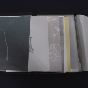 DRAWINGS FROM LIGHTNING