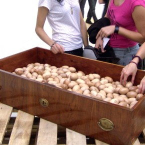 fuoriregistro: quaderno di pedagogia e arte&nbsp;contemporanea