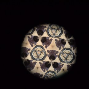 Books Recipes Artists Cooking presentazione del libro in occasione dei 15 anni di&nbsp;BRAC